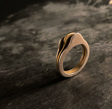 Load image into Gallery viewer, Vertical Landscape Ring